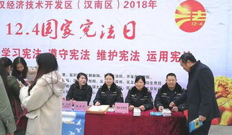 武汉开发区 汉南区 城管开展国家宪法日法治宣传活动